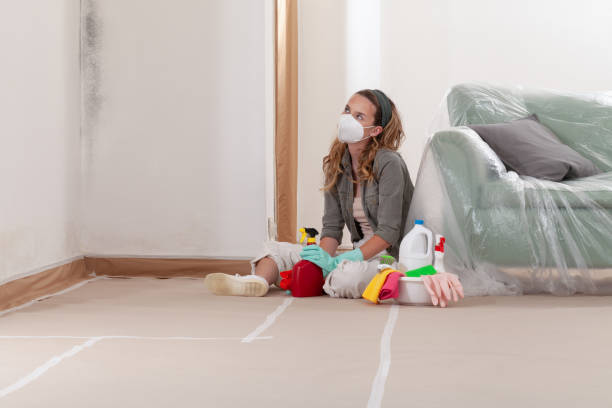Reliable Mold Remediation contractor in USA by WQB Mold Removal